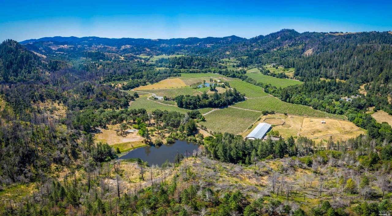 9000 Franz Valley Road - Photo 1