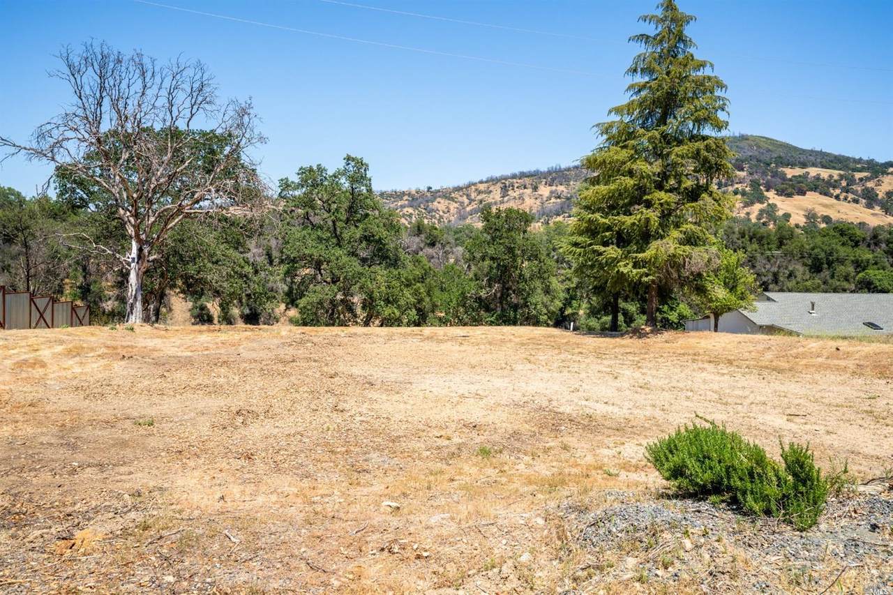 12301 Tomki Road - Photo 1