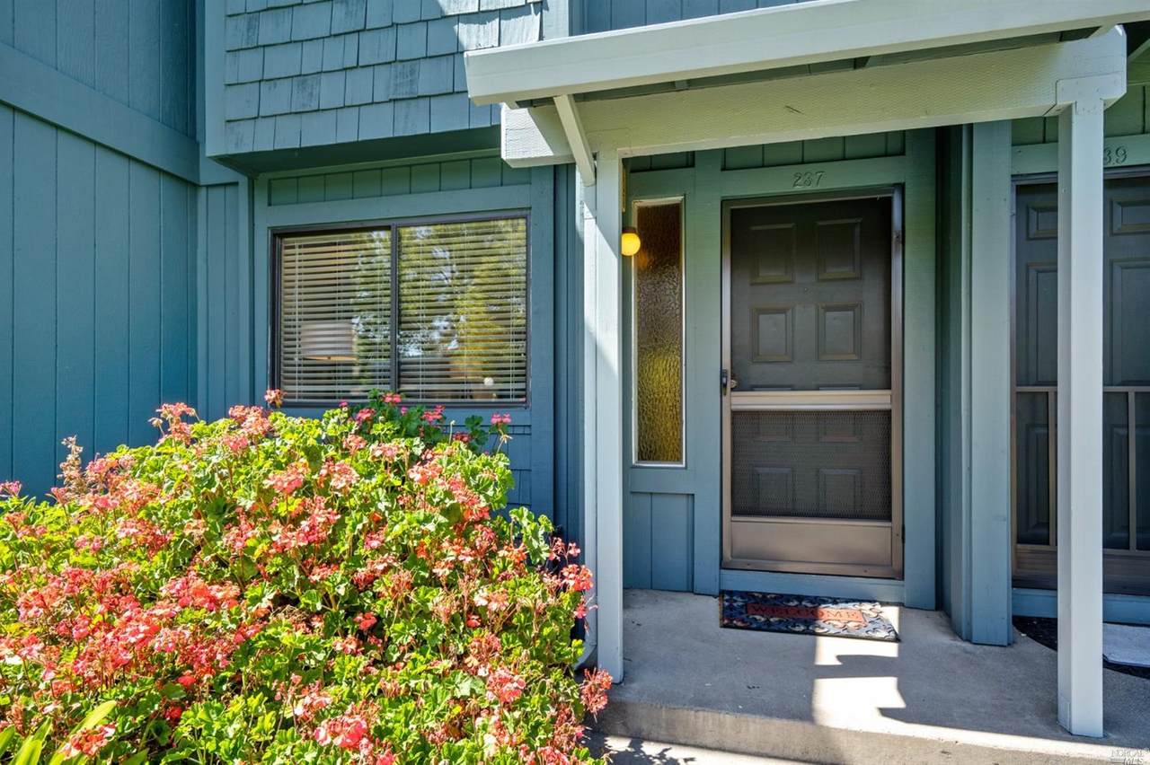 237 College View Drive - Photo 1