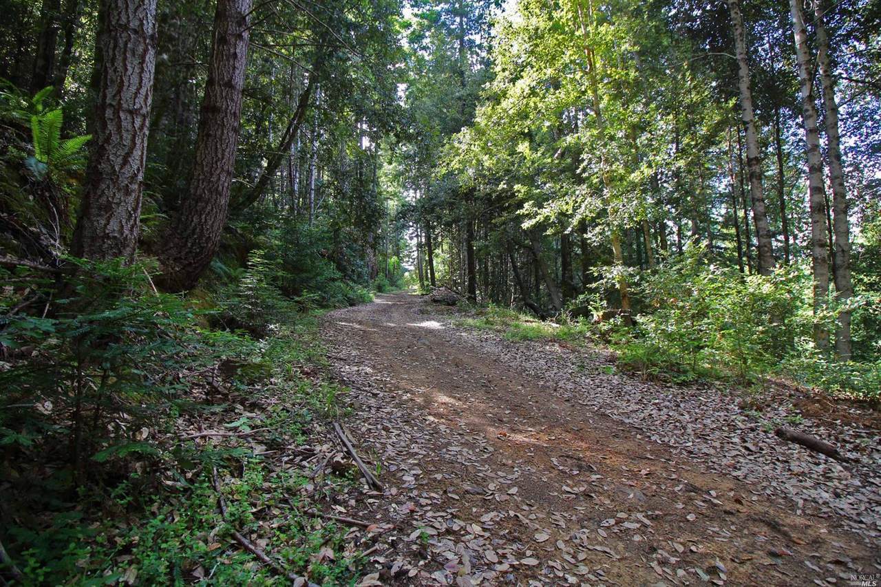 26301 Comptche Ukiah Road - Photo 1