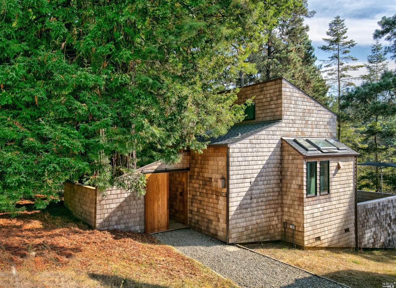 130 White Fir Wood - Photo 1