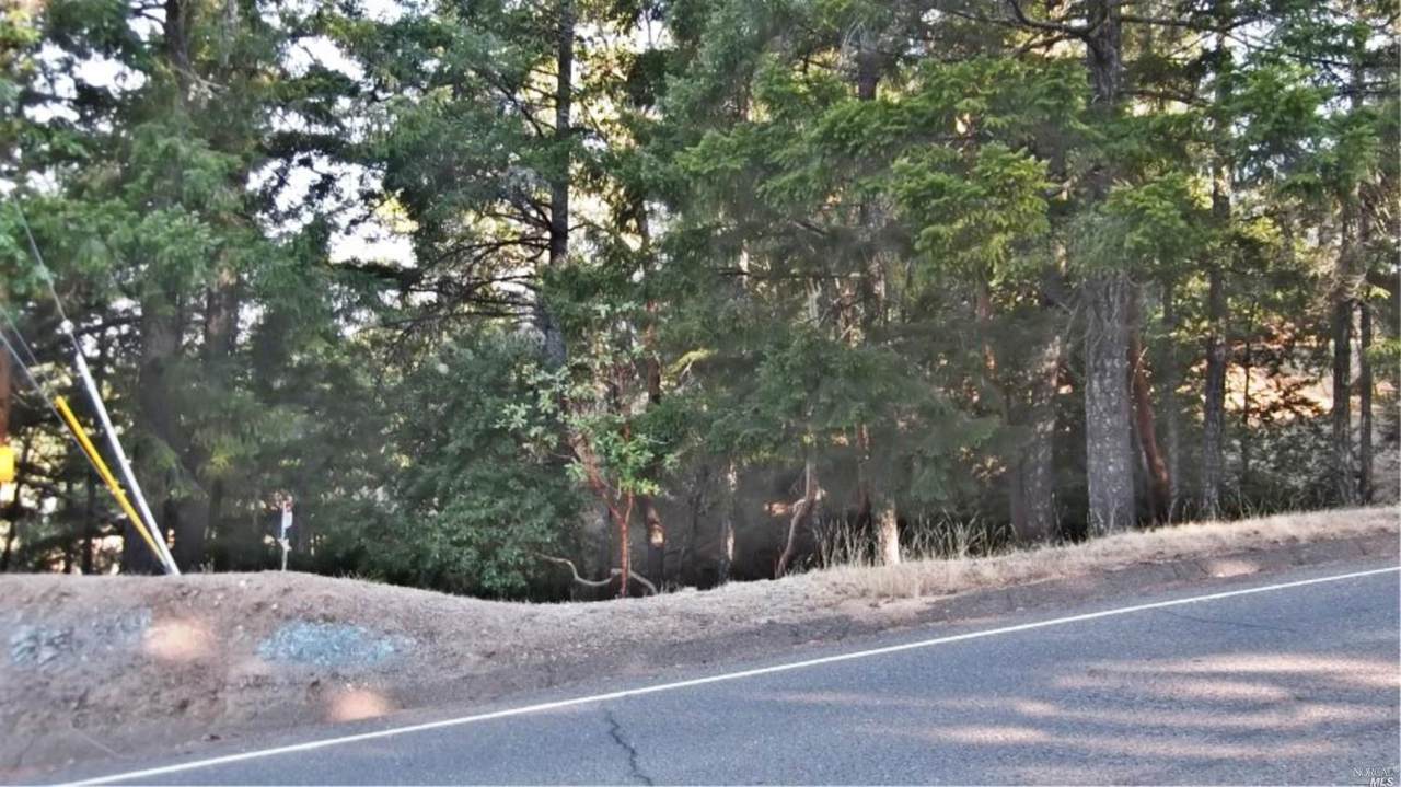 26549 Daphne Way - Photo 1