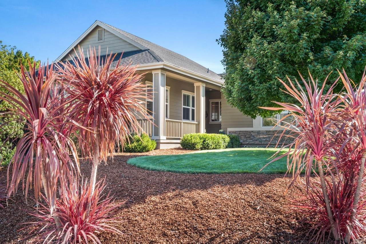 447 Healdsburg Avenue - Photo 1