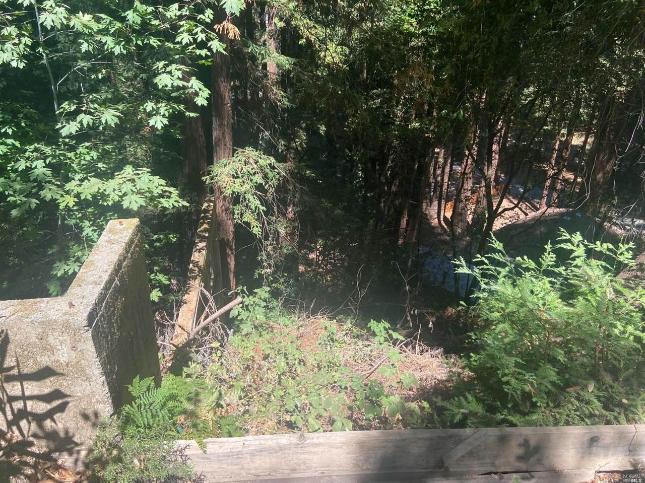 14796 Canyon 4 Road - Photo 1
