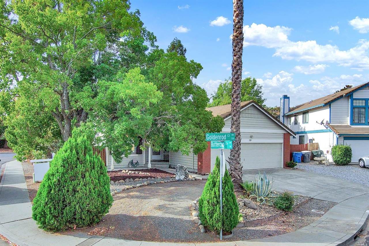 125 Goldenrod Court - Photo 1