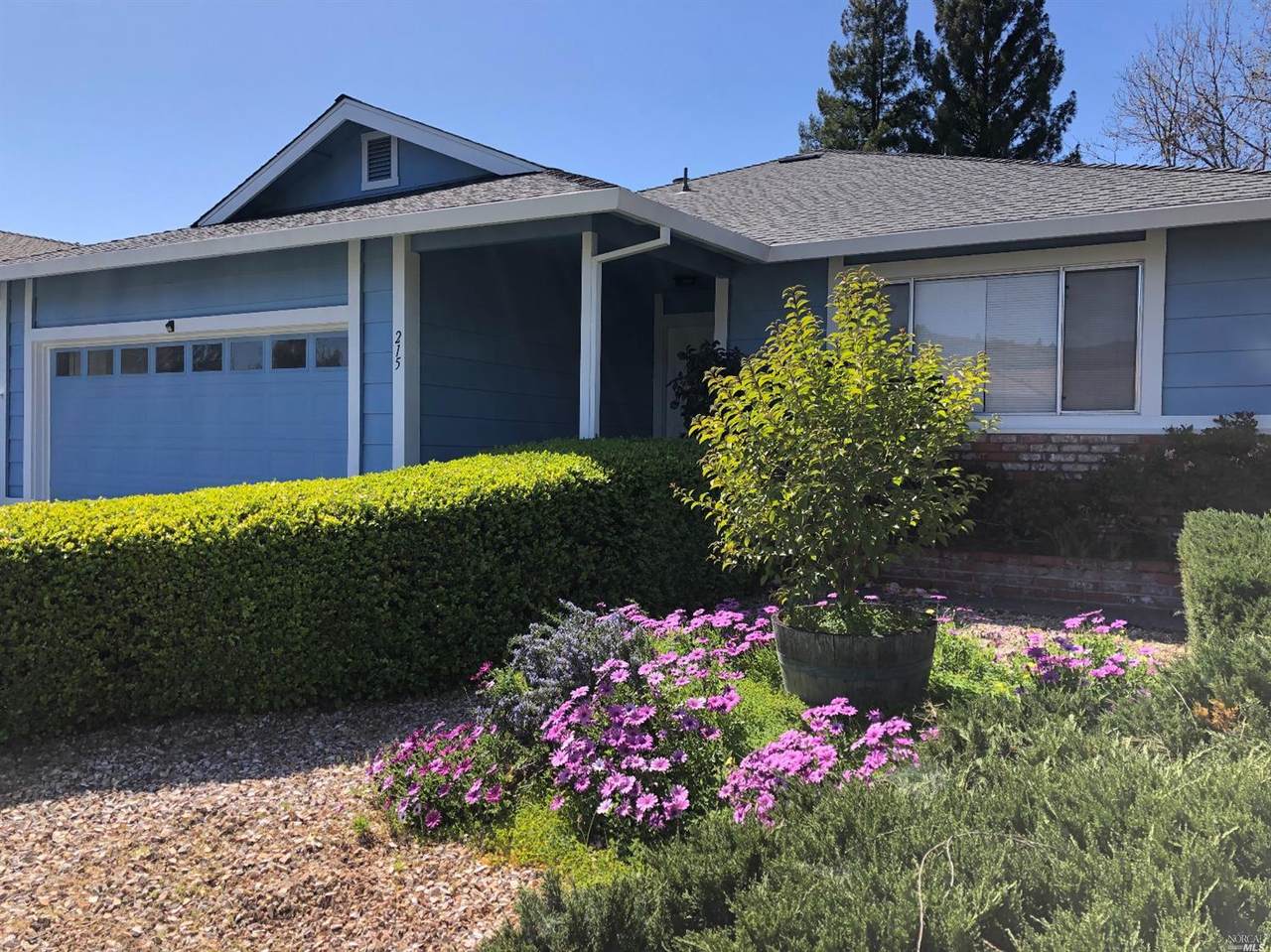 215 Vineyard Drive - Photo 1