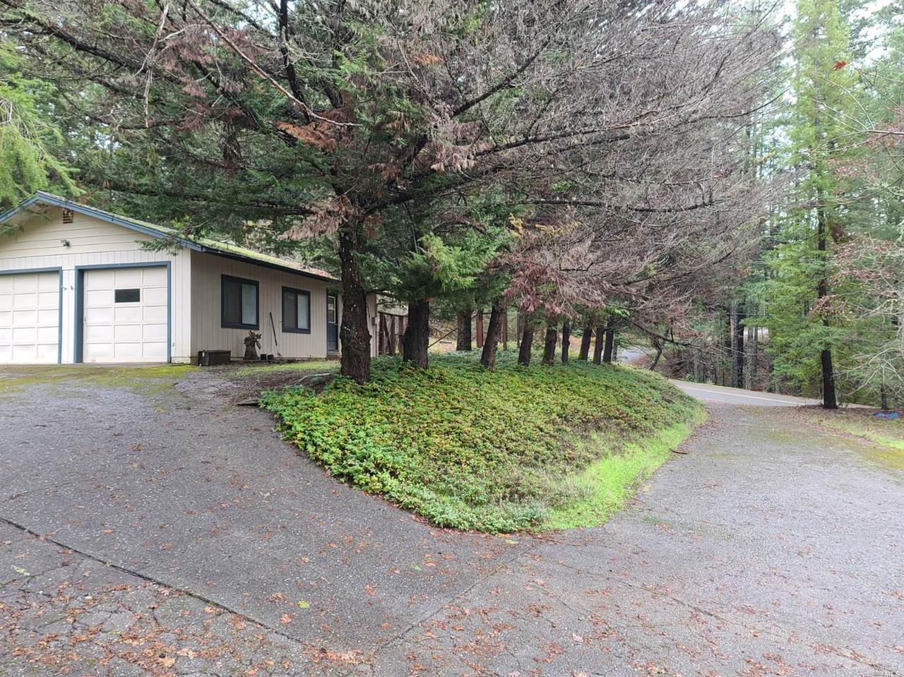 3990 Chinquapin Drive - Photo 1
