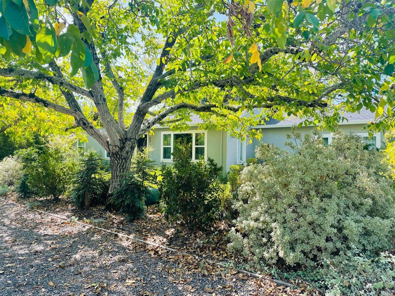 6911 Yount Street - Photo 1