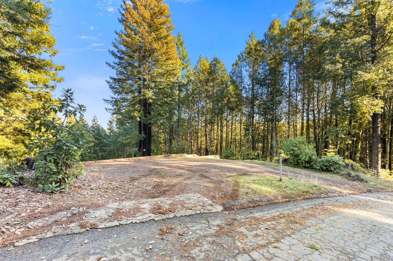 25741 Ridge Road - Photo 1