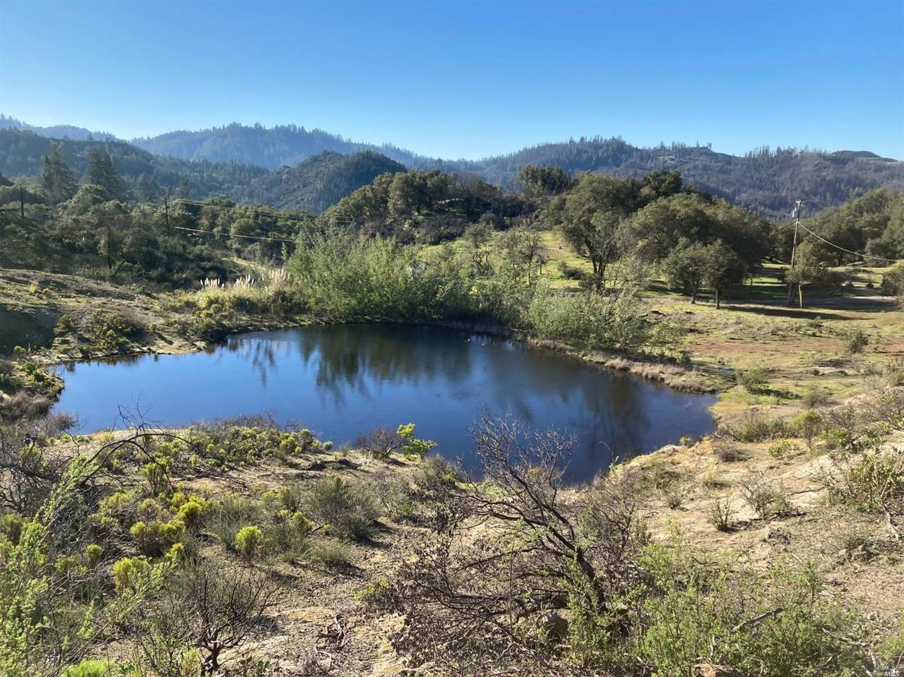 4455 Mt Home Ranch Road - Photo 1