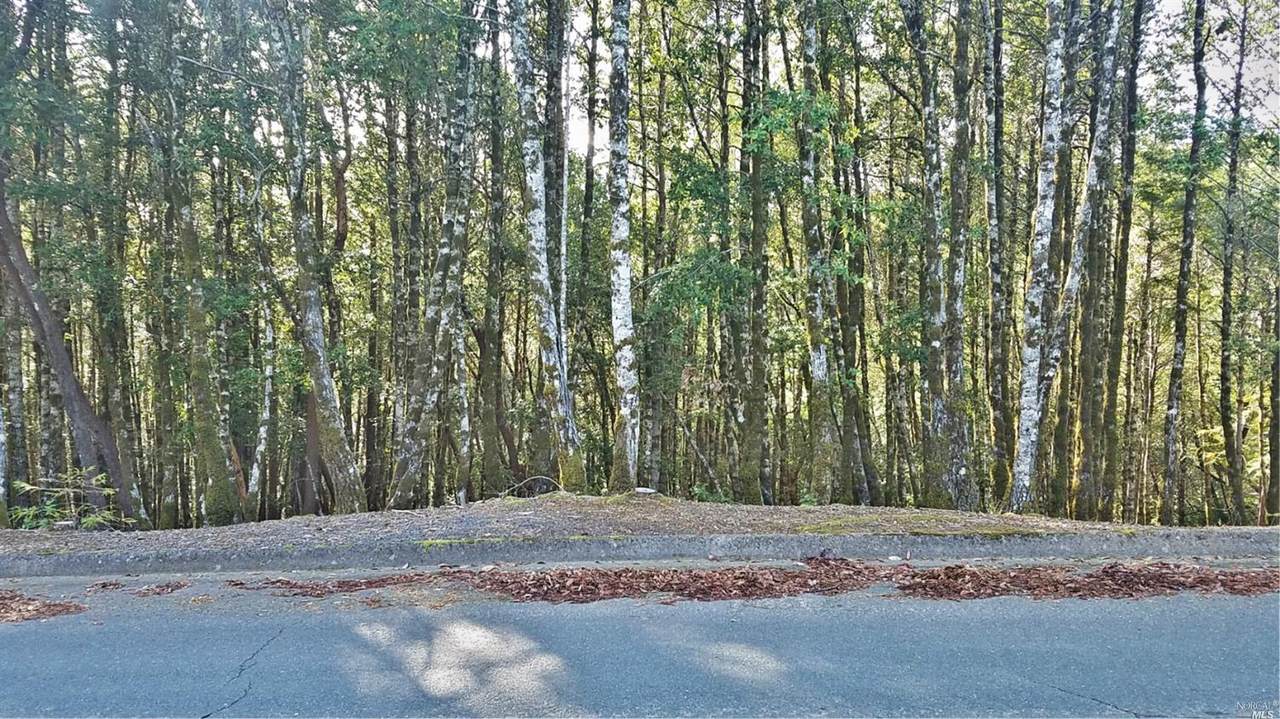 2235 Goose Road - Photo 1