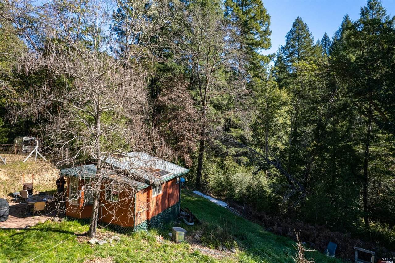 1600 Miller Creek Road - Photo 1