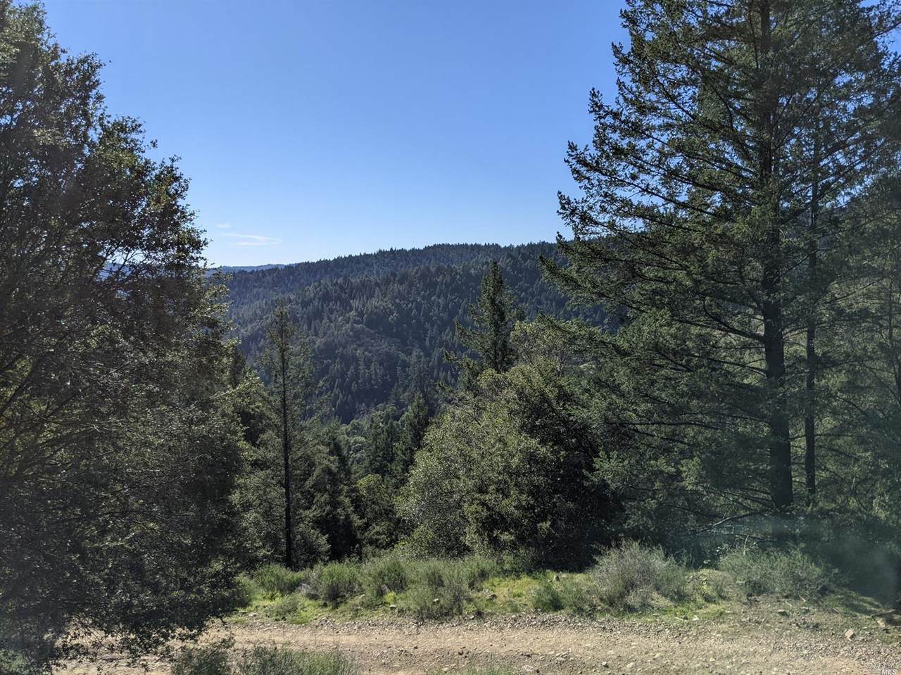 28001 Fish Rock Road - Photo 1