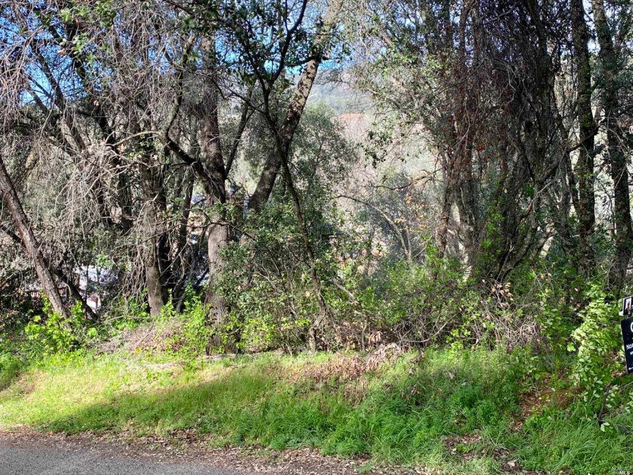 7166 Butte Street - Photo 1