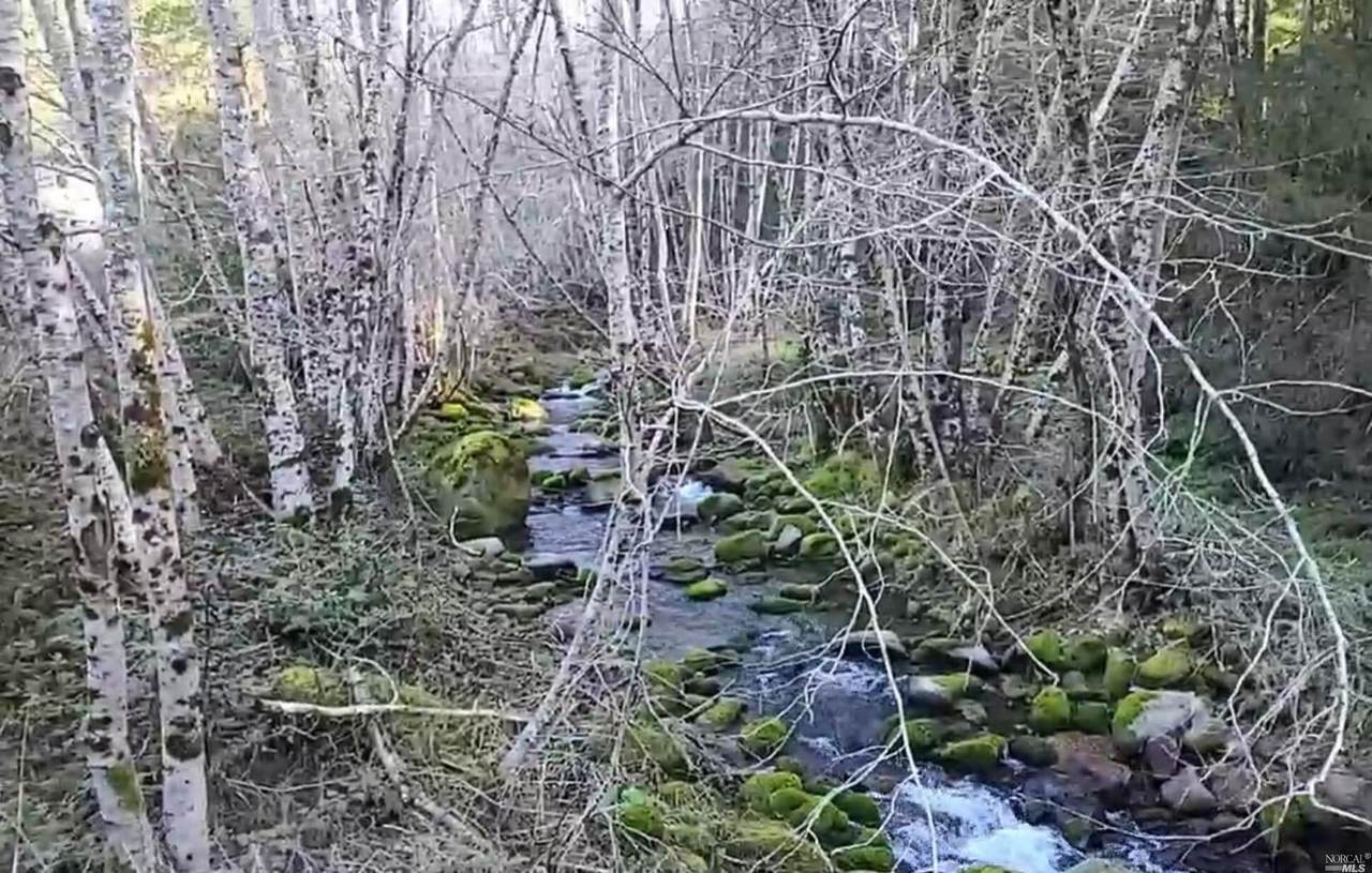 1 Panther Gap Road - Photo 1