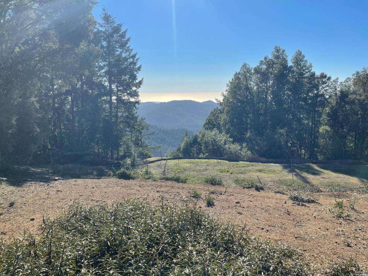 16840 Branscomb Road - Photo 1