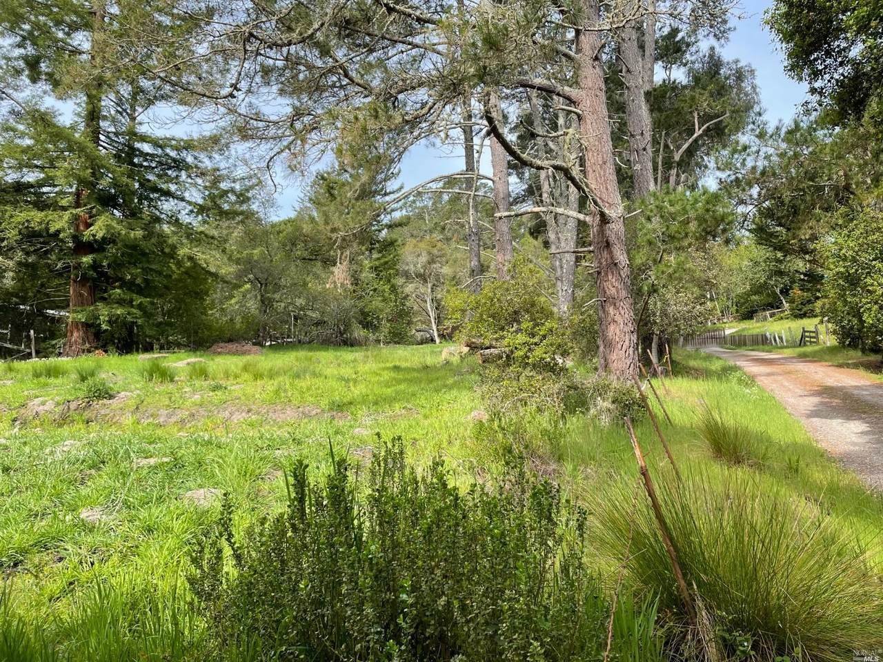 1120 Sexton Road - Photo 1