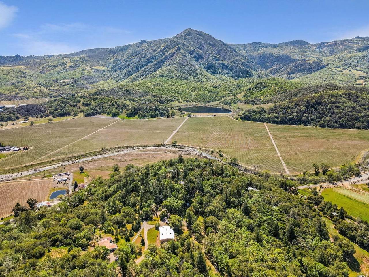 494 Feliz Creek Road - Photo 1