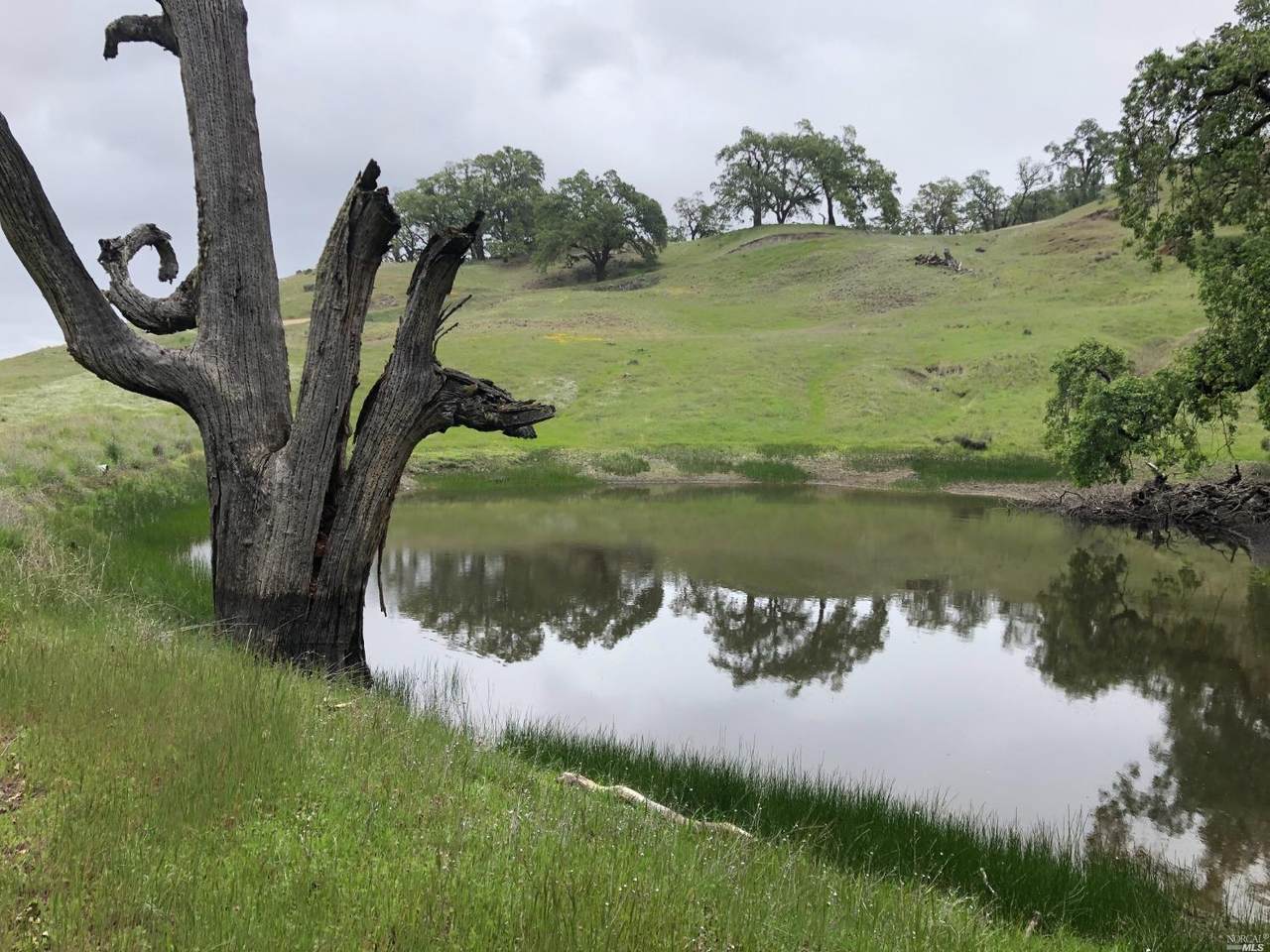 13980 Eagle Rock Road - Photo 1