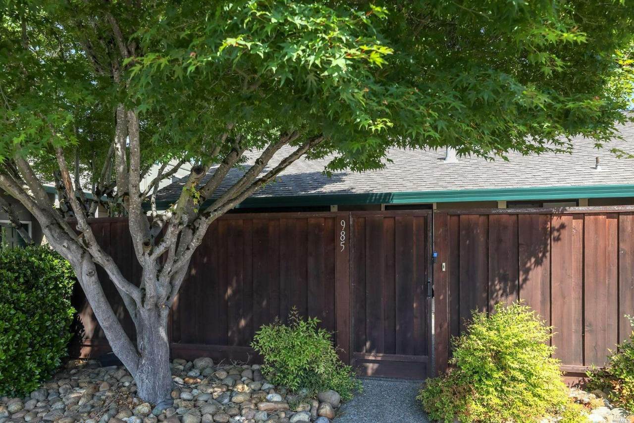 985 Santa Cruz Way - Photo 1