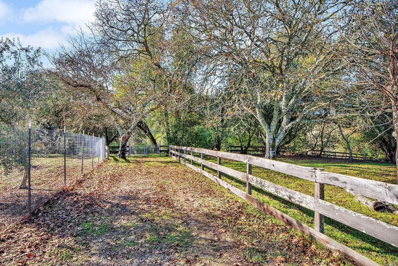 1224 Sexton Road - Photo 1