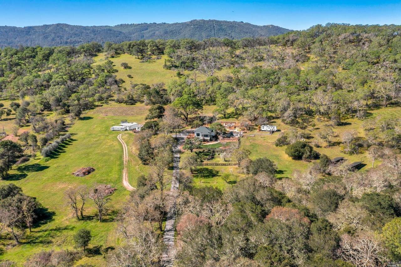 12150 Henno Road - Photo 1