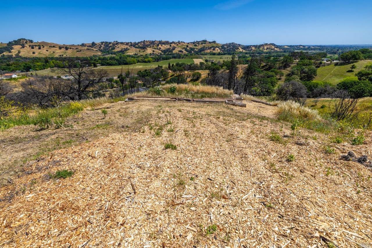 7000 Juliana Lane - Photo 1