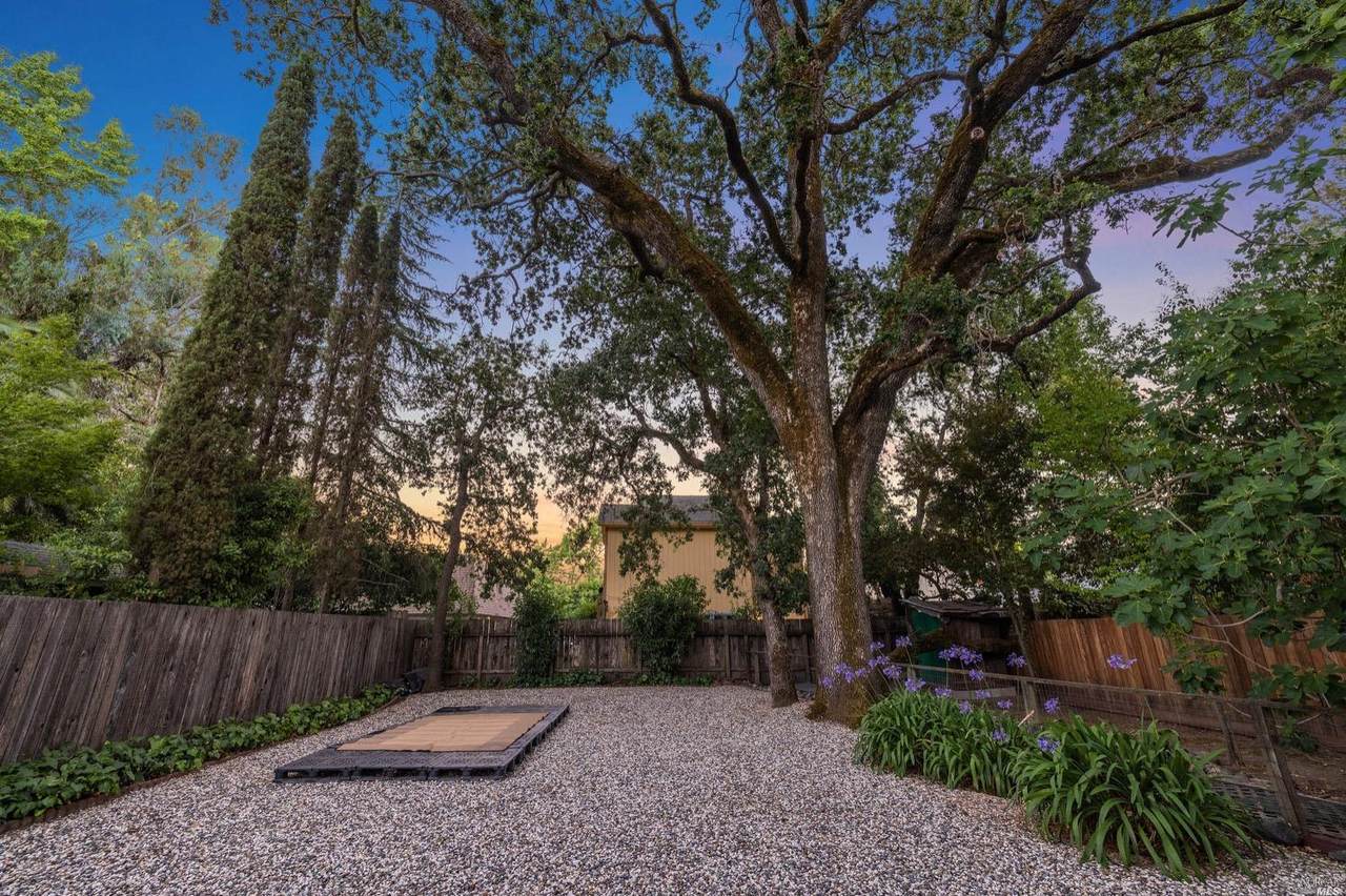 135 Agua Caliente Road - Photo 1