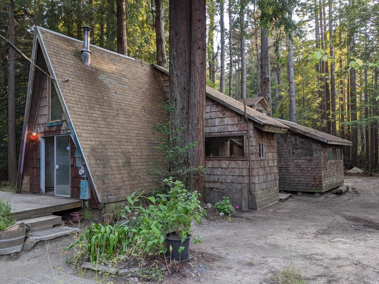 31022 Albion Ridge Road - Photo 1