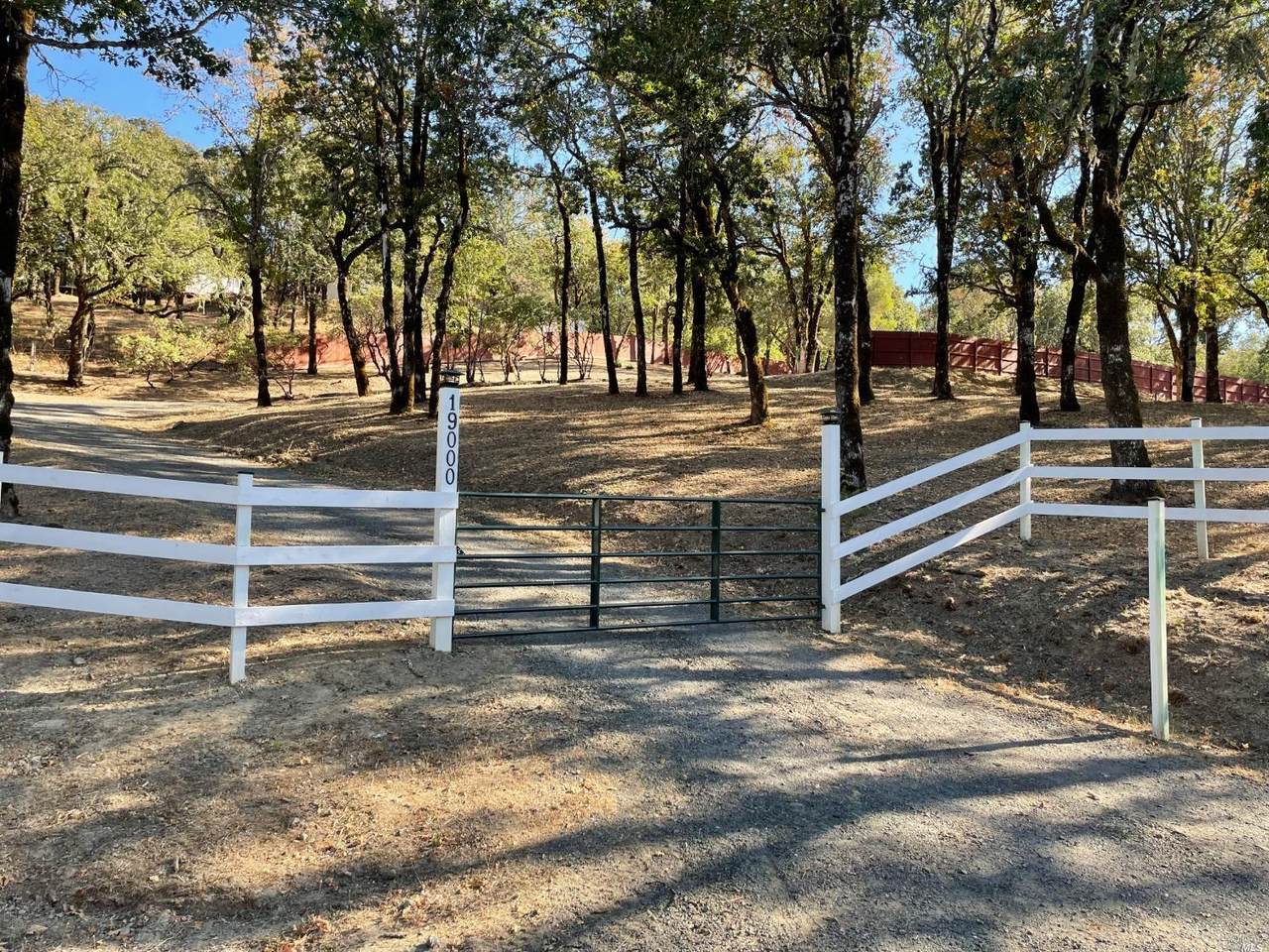 19000 Walker Road - Photo 1