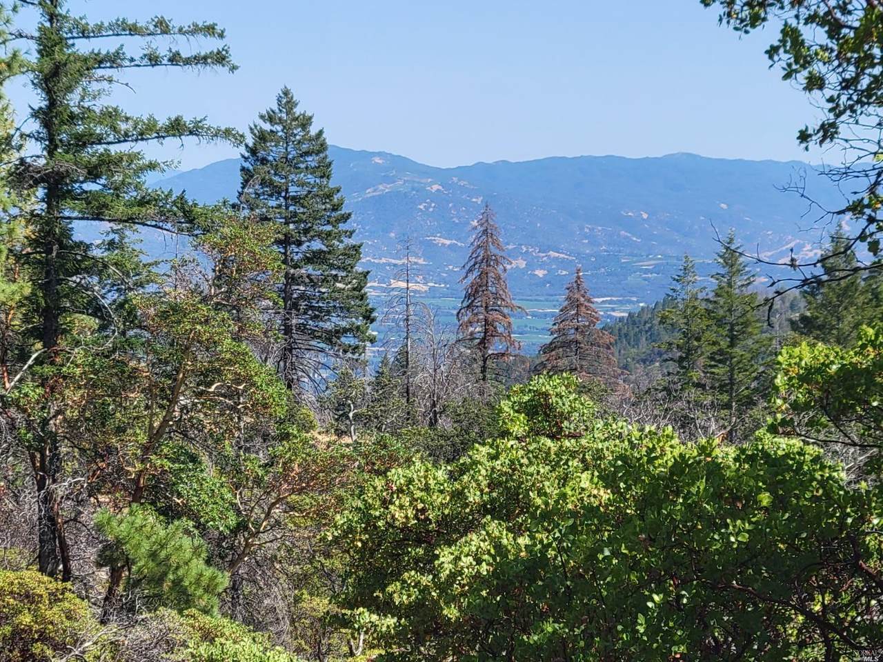 13945 Old Boy Scout Road - Photo 1