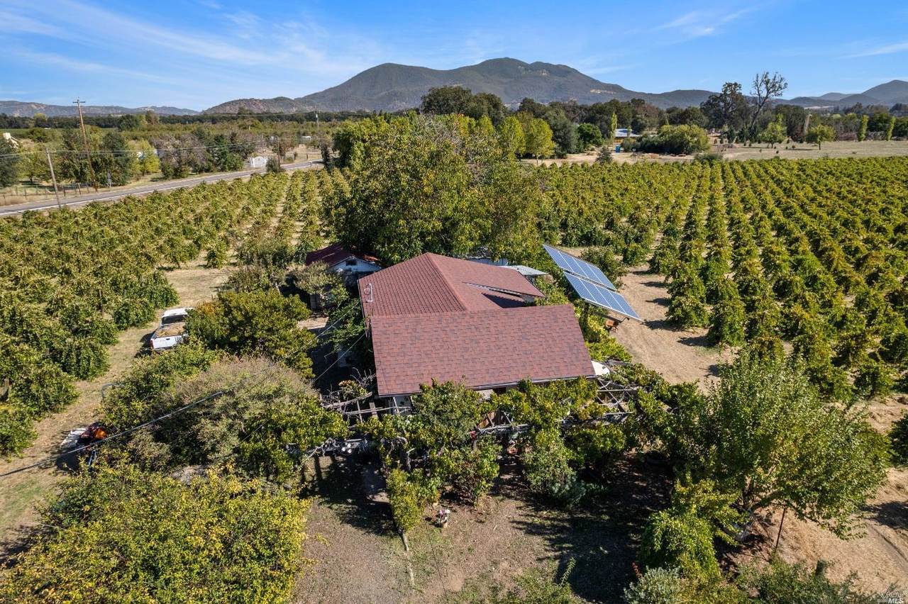 3954 Thomas Drive - Photo 1