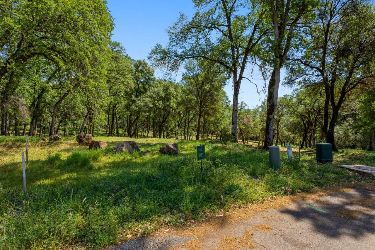 12828 Masters Court - Photo 1