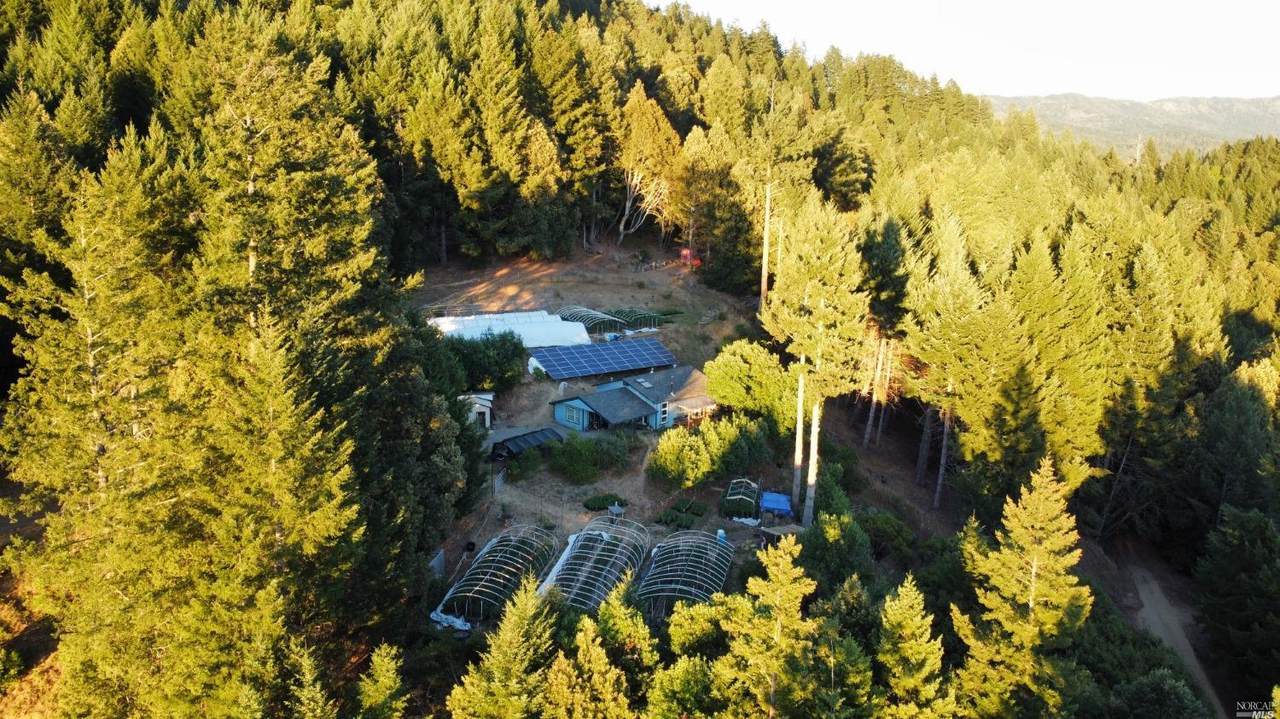 79431 Hwy 271 - Photo 1