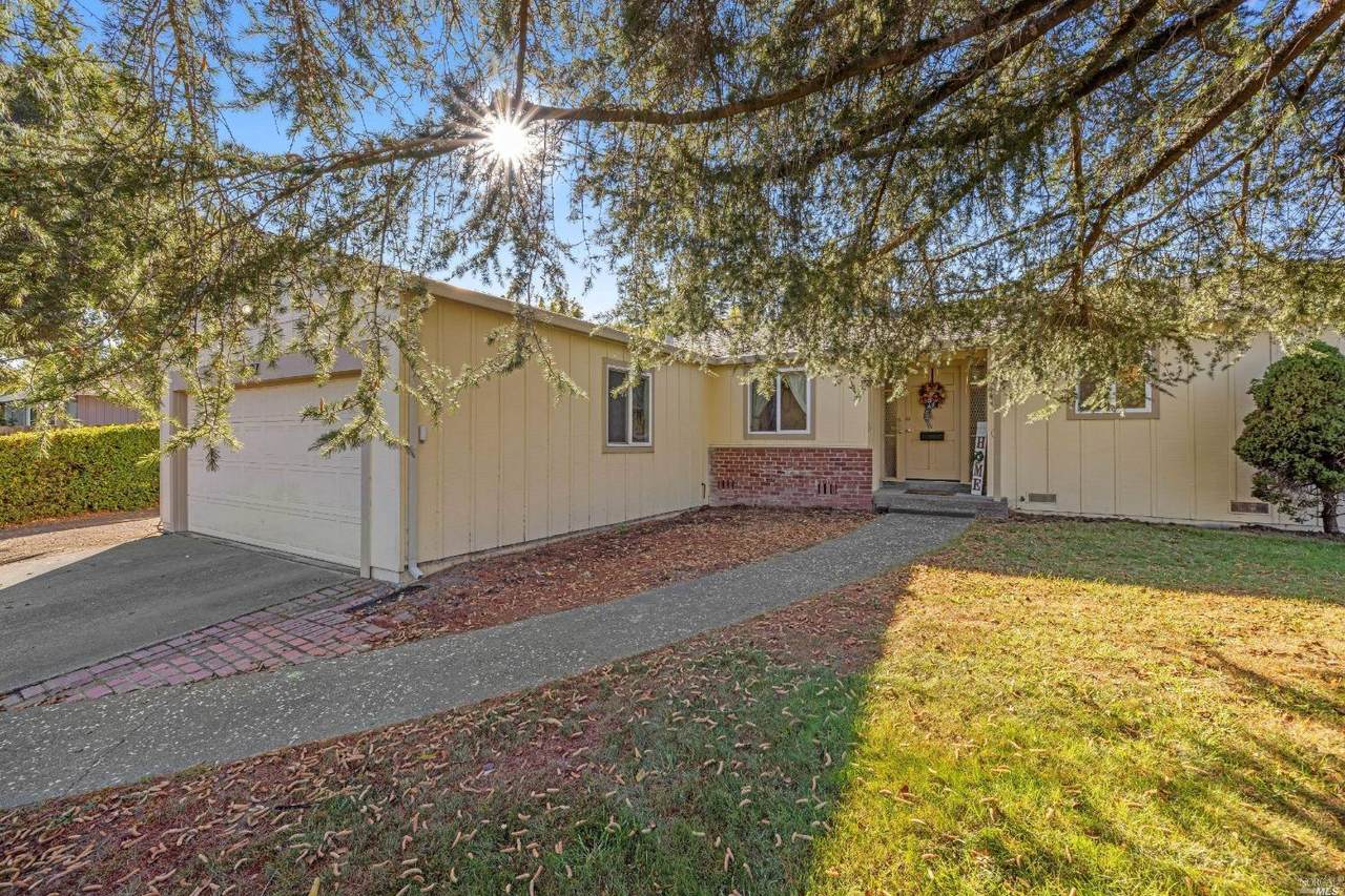 1297 Magnolia Avenue - Photo 1