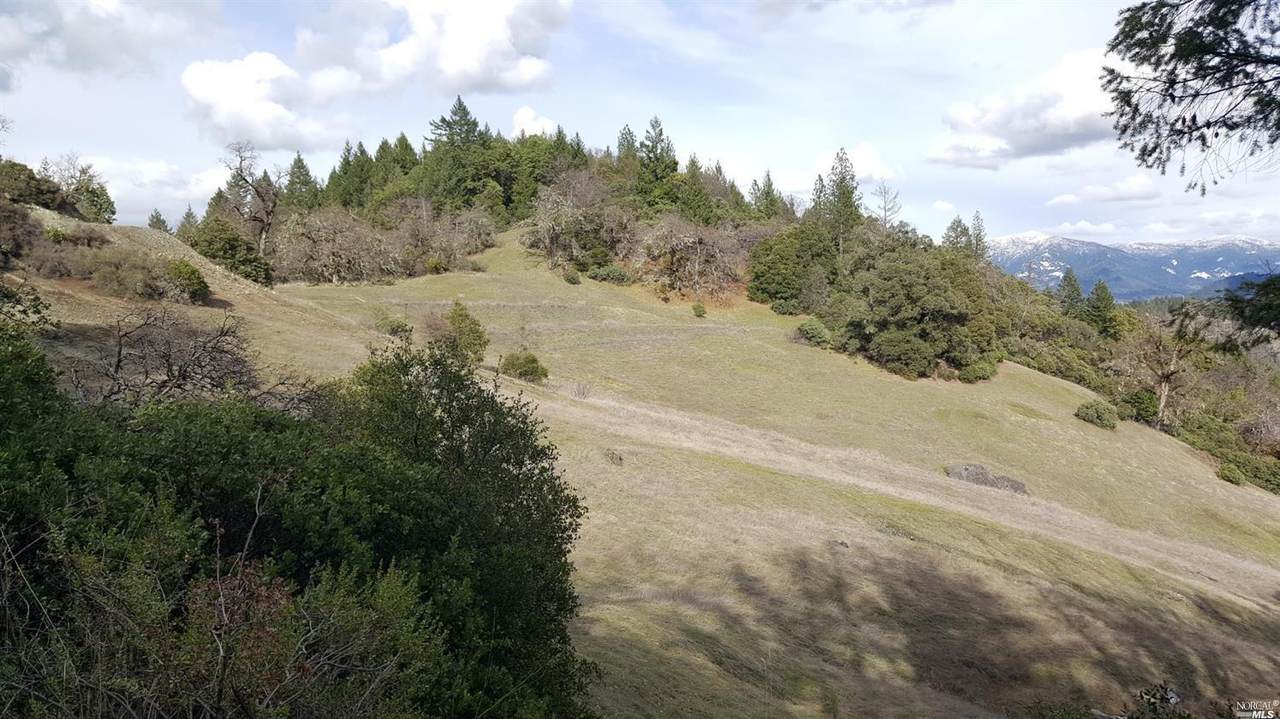 7150 Hearst Ranch - Photo 1