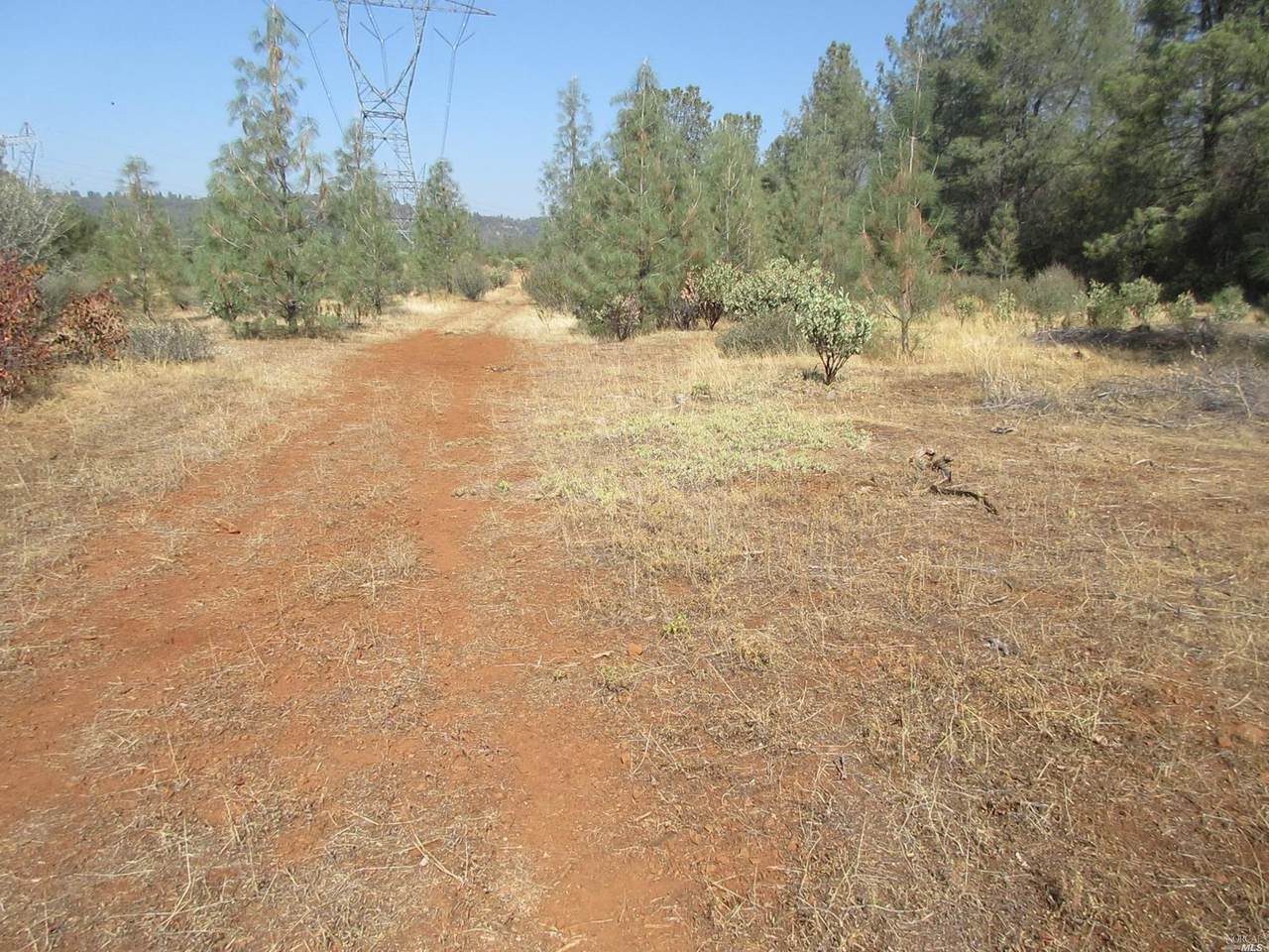 42 Acres Western Whitehouse Way - Photo 1