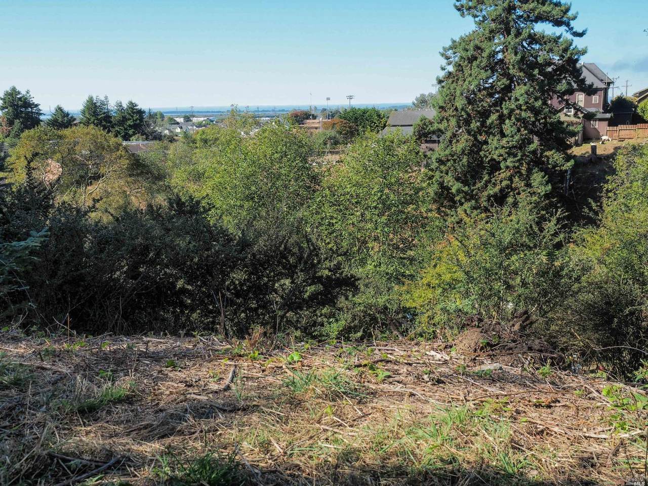176 Center Avenue - Photo 1