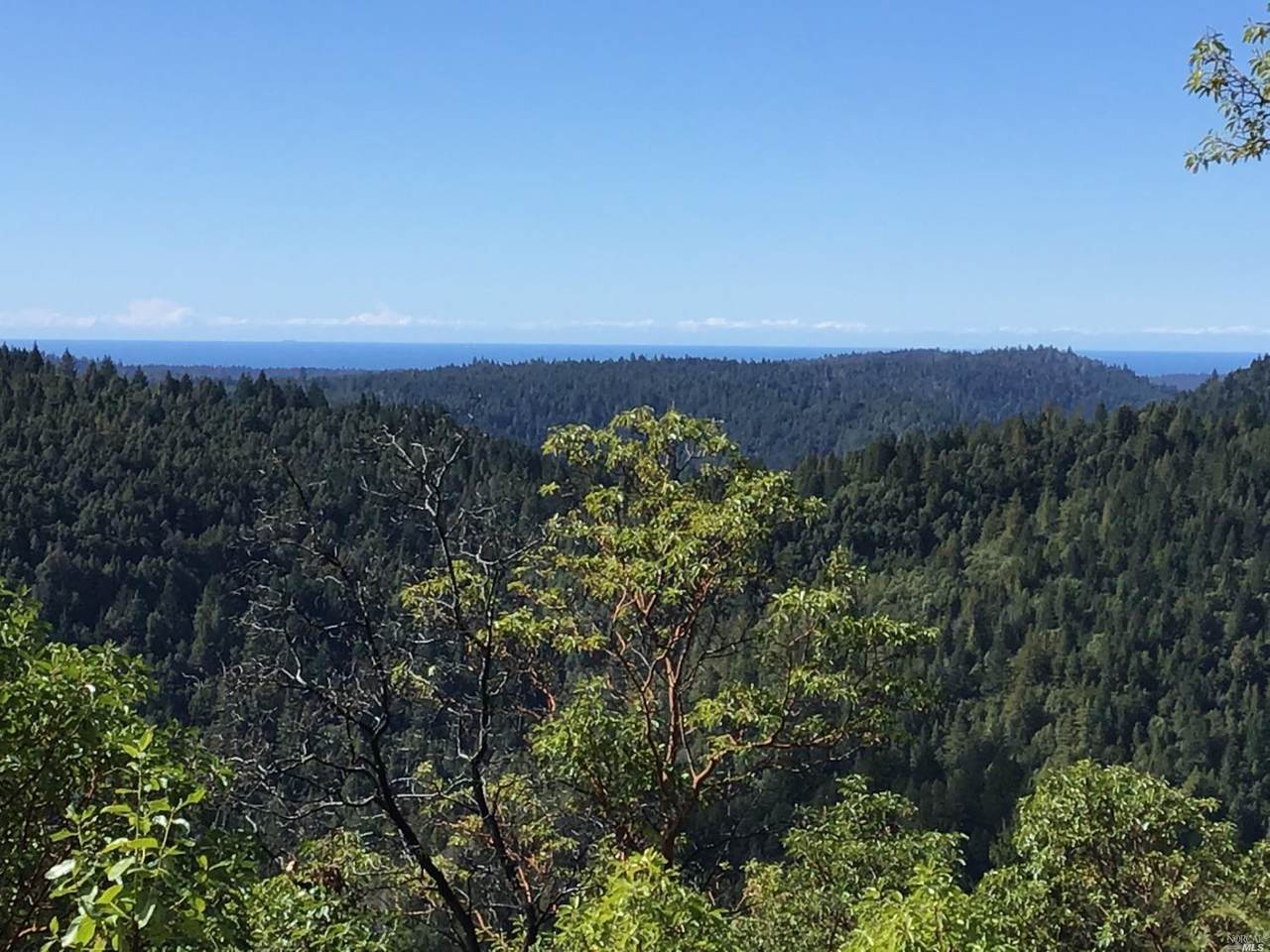 23330 Soda Springs Road - Photo 1