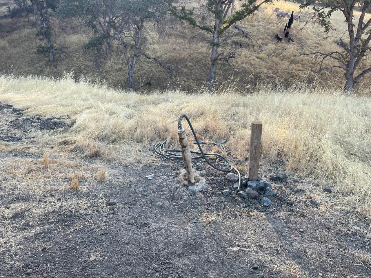 10788 Bachelor Valley Road - Photo 1