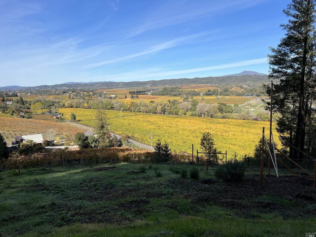 3210 Dry Creek Road - Photo 1
