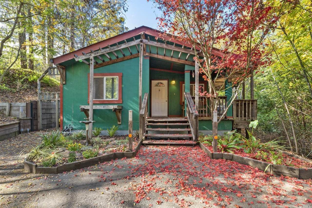 14461 Memory Lane - Photo 1