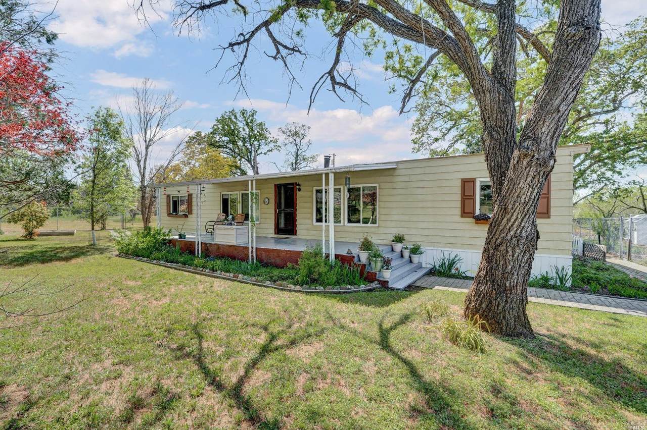 6695 Live Oak Drive - Photo 1