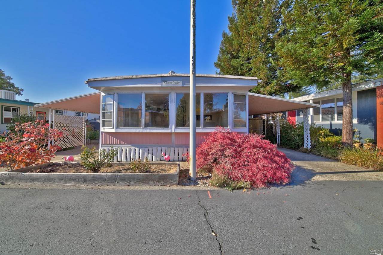 8800 Green Valley Road - Photo 1