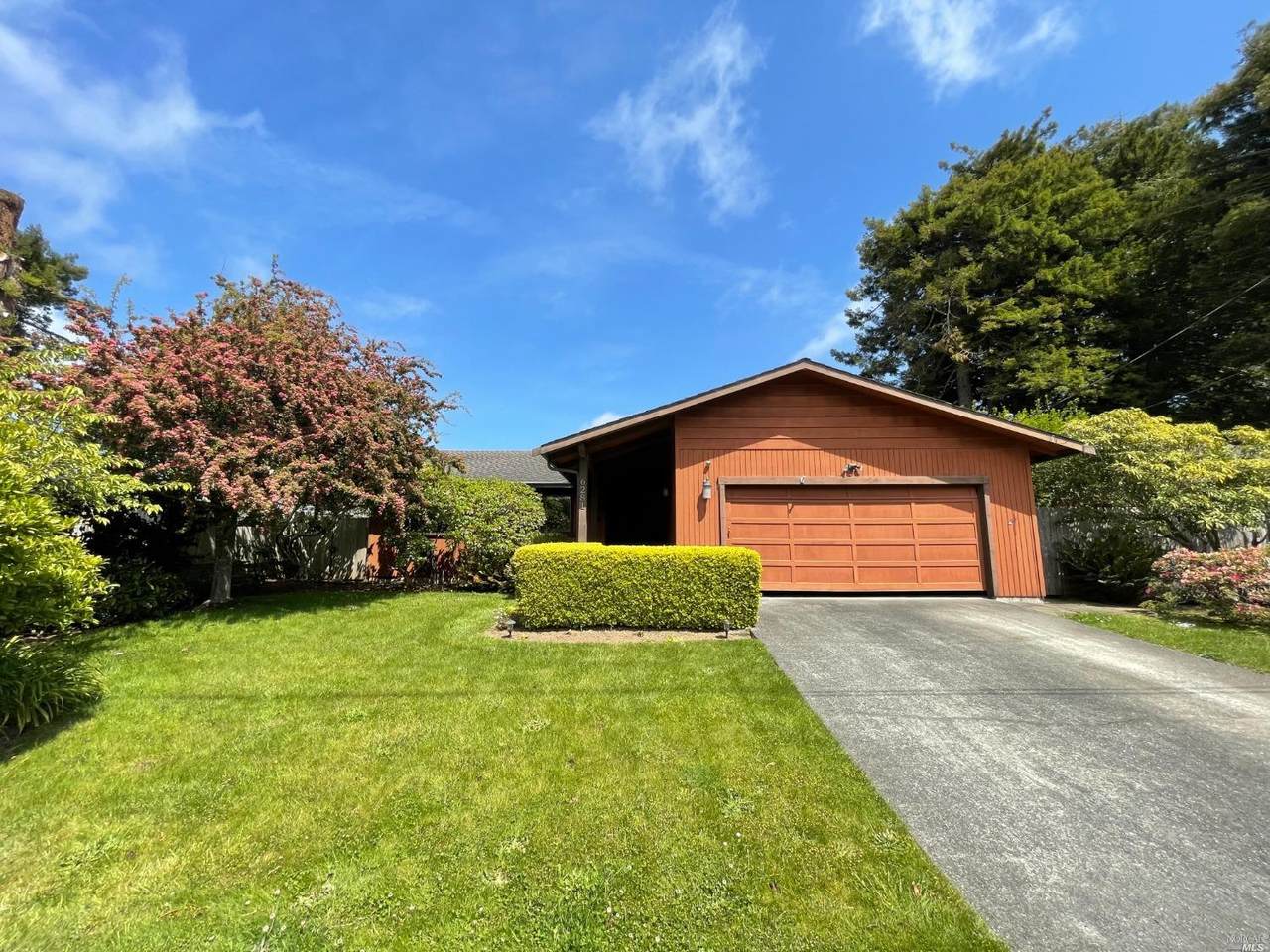 6281 Lee Ann Drive - Photo 1