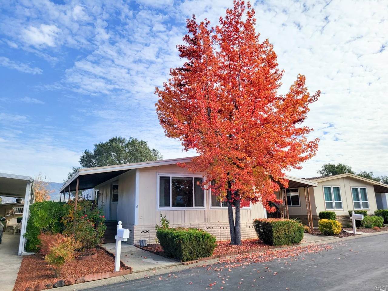 7 Cabana Court - Photo 1