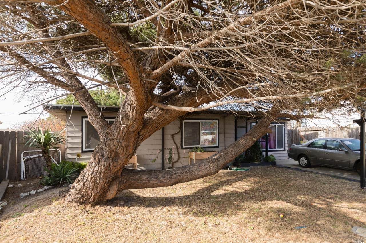4501 Bell Way - Photo 1