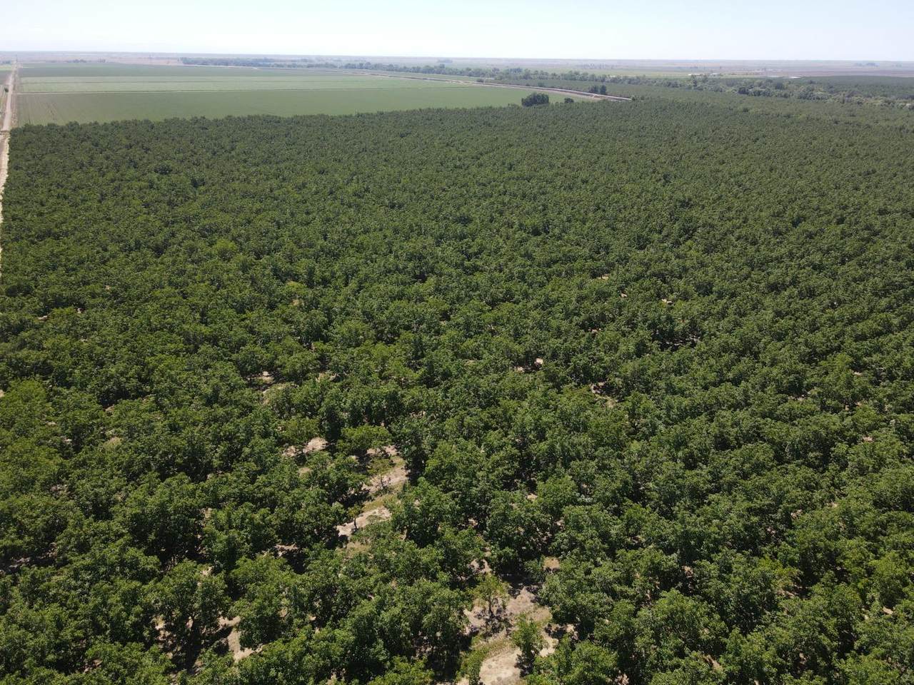 45496 County Road 35 - Photo 1