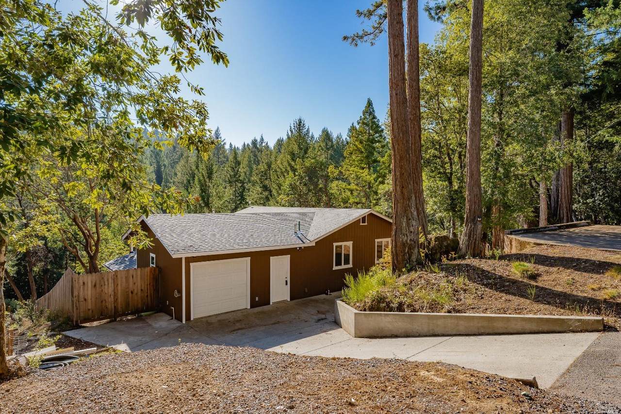 1653 Lilac Lane - Photo 1