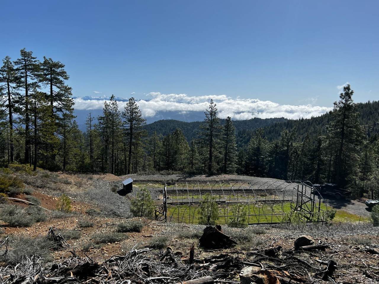 0 +/- 78 Acres New Three Creeks Road - Photo 1